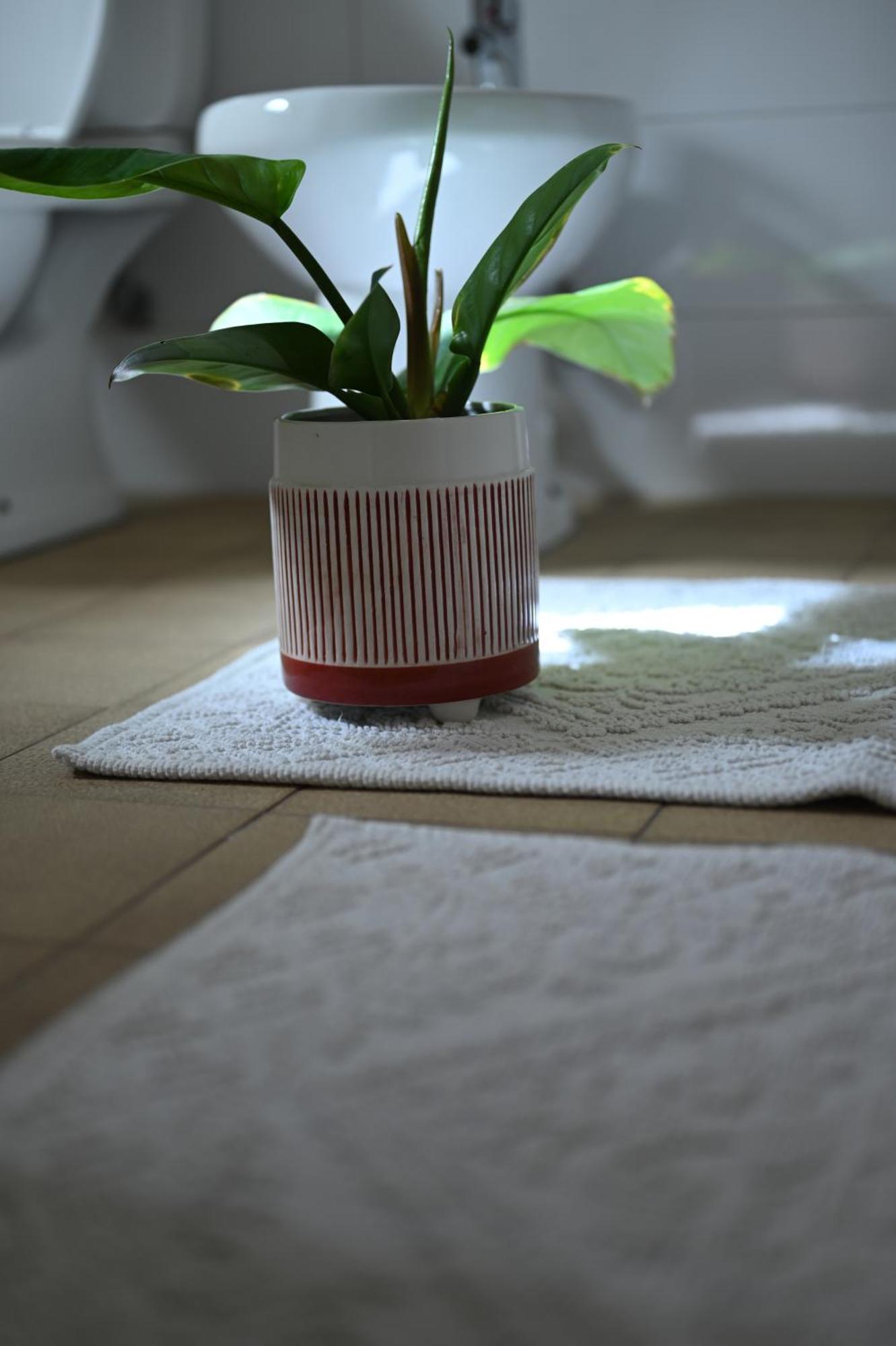 Niche Boutique Hotel 地拉那 外观 照片